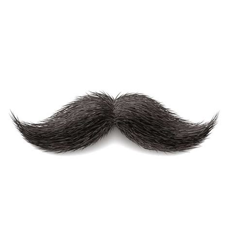 Handlebar Mustache Png