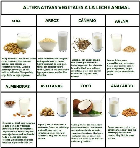 Beneficios Para La Salud De Las Leches Vegetales Blog De Farmacia