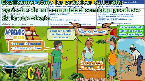 Explicamos C Mo Las Pr Cticas Culturales Agr Colas De Mi Comunidad