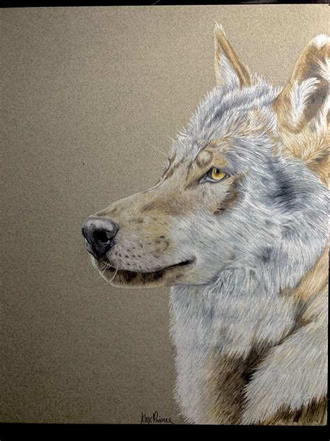 Wolf Colored Pencil Me 2020 Rart