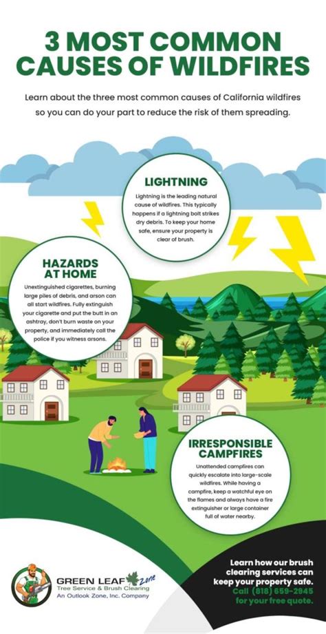 3 Most Common Causes Of California Wildfires | Green Leaf Zone