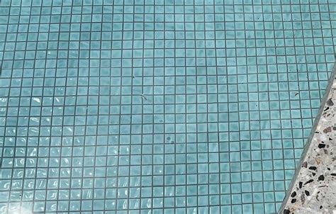 Sea Mist Mm Ceramic Mosaic Pool Tiles Cmc