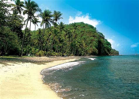 Tailor Made Holidays To Saint Lucia Audley Travel