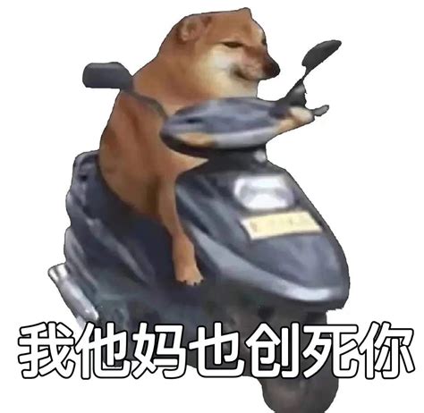 柴犬我创死你表情包