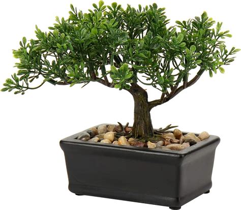 Amazon De Bonsai Baum Gef Lschte Pflanzen Keramik Topfbaum