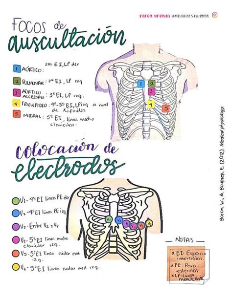 FOCOS DE AUSCULTACIÓN Y COLOCACIÓN DE ELECTRODOS uDocz