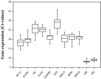 Frontiers Selection And Validation Of Reference Genes For QRT PCR