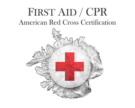 First Aid / CPR - Prival USA