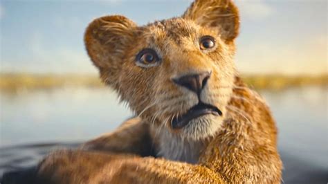 Mufasa O Rei Le O Ser Um Musical Confirma Diretor