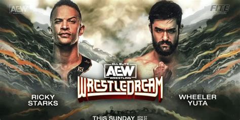 Aew Wrestledream Guide Match Card Predictions