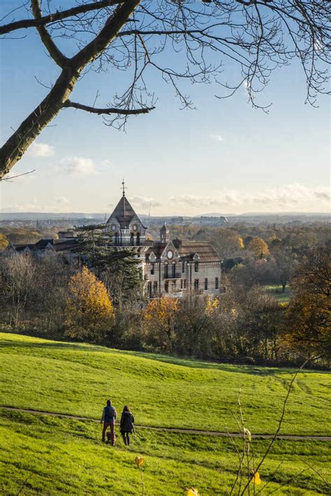 View Across Terrace Field And Petersham Meadows To The River Thames