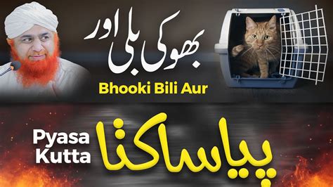 Gunahgar Aurat Ki Baksish Billi Or Kutta Janwar Par Zulm Or Reham