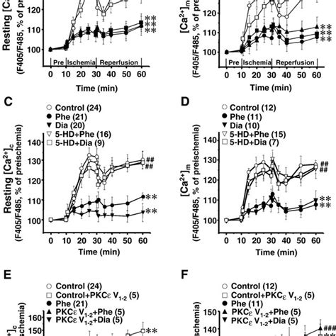 Cytosolic Ca C And Mitochondrial Free Ca Concentration Ca