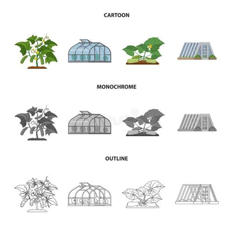 Vector Design Of Greenhouse And Plant Symbol Collection Of Greenhouse