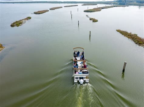 In Barca Da Comacchio Ai Luoghi Dell Anguilla Parco Del Delta Del Po