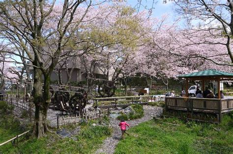 4 ふじのくに美しく品格のある邑づくり（静岡県）