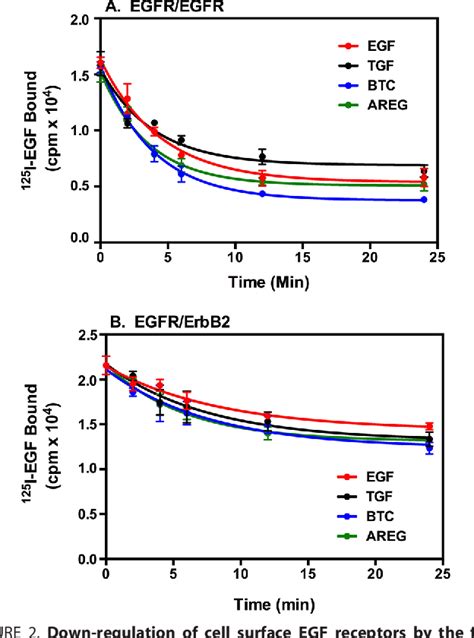 Figure 1 From Different Epidermal Growth Factor Egf Receptor Ligands