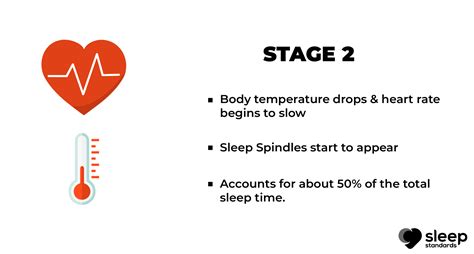 Stages Of Sleep How Sleep Cycles Works Sleep Standards