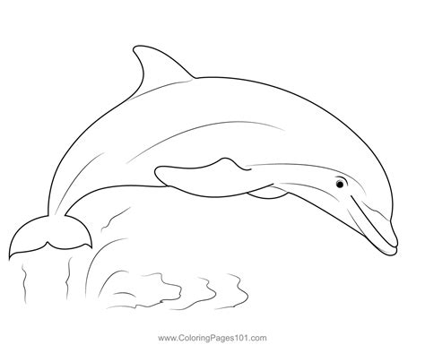 Dolphin Show Coloring Page for Kids - Free Dolphins Printable Coloring Pages Online for Kids ...