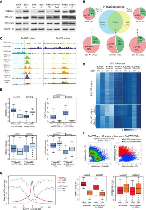 Polycomb Dependent H3k27me1 And H3k27me2 Regulate Active Transcription