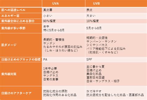 紫外線は3種類！uvaとuvbとuvcの特徴と違いは？ エイジングケアを本気で学ぶ情報サイト｜ナールスエイジングケアアカデミー