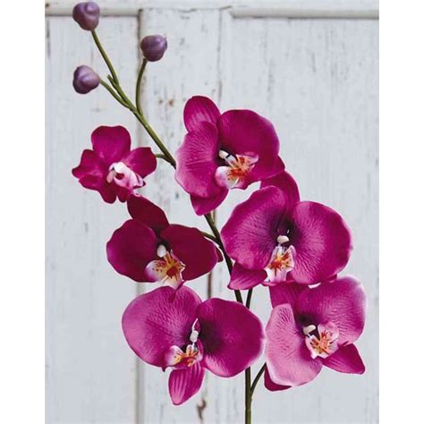 Acheter des Tige d orchidée Phalaenopsis en tissu XANDRA violet 85cm