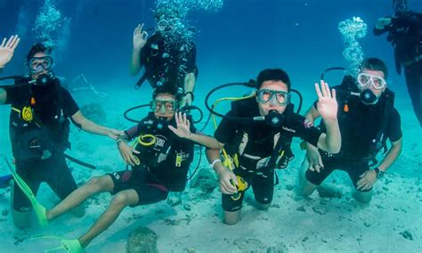 Descubre La Emocionante Experiencia Del Buceo En La Isla De San Andr S