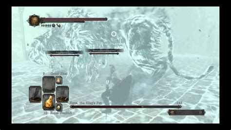 Dark Souls 2 Crown Of The Ivory King Aava The Kings Pet YouTube