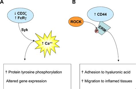 Figure From Novel Molecular Targets In The Treatment Of Systemic