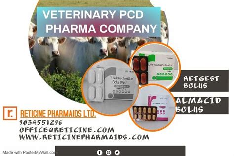 Veterinary Pcd Pharma Company At Rs Month In Kurukshetra Id