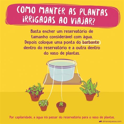 Como Fazer O Seu Próprio Sistema Automático Para Regar Plantas