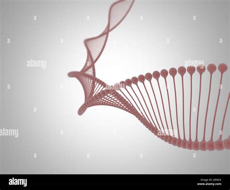 D Dna Model Stock Photo Alamy