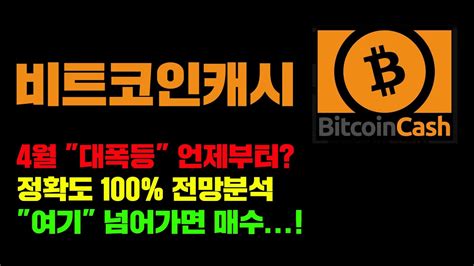 비트코인캐시 긴급 Btc 하드포크 대장주 정확도 100 전망분석 4월 대폭등 이때부터 나온다 코인시황