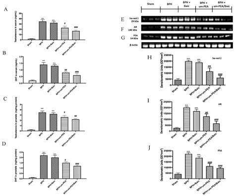 Antioxidants Free Full Text Palmitoylethanolamide Baicalein