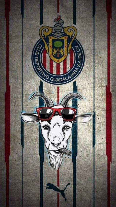 Pin De Luis Enrique En Guardado R Pido Chivas Wallpaper Imagenes