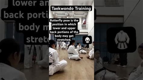 Butterfly Pose Taekwondo Training Satisfying Shorts Youtube