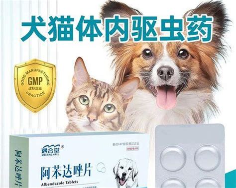 小狗驱虫的正确方法（以宠物为主） 养宠技巧 狗猫街