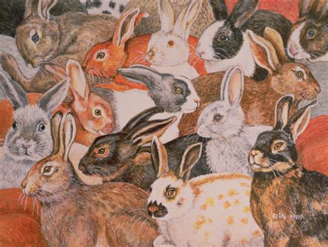 Famous Rabbit Painting At Explore Collection Of Famous Rabbit Painting