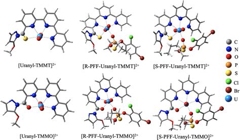 The Optimized Structures Of Receptors And Four Complexes Of