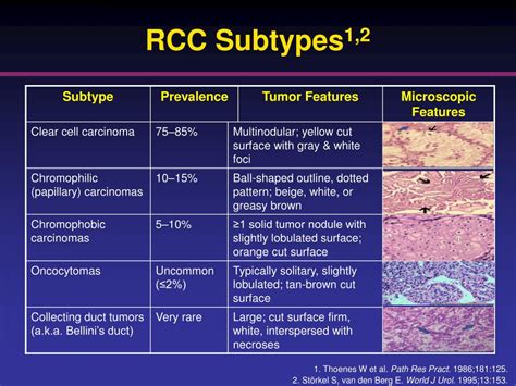 Ppt Renal Cell Carcinoma Nursing Considerations With The Use Of Targeted Therapy Powerpoint