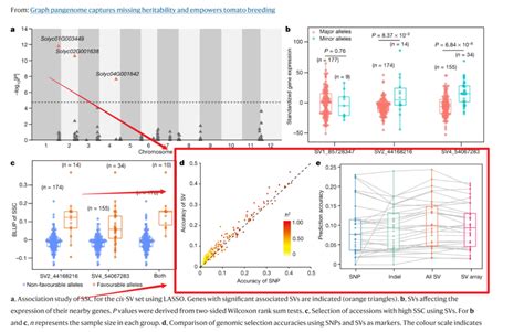 跟着nature学作图：r语言ggplot2箱线图散点图完整示例 腾讯云开发者社区 腾讯云