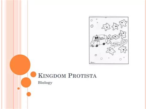 Ppt Kingdom Protista Powerpoint Presentation Free Download Id2191096