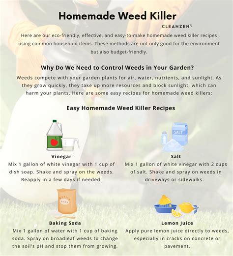 weed killer made at home 4