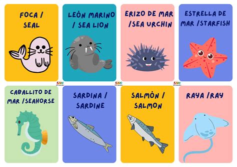 Animales en inglés marinos Educamundo Recursos Educativos