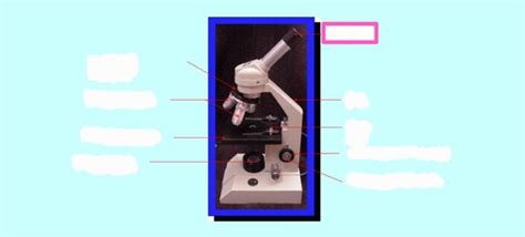 Lab Microscopy Cells And Tissues Flashcards Quizlet