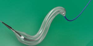 Coronary Stent Biomatrix Alpha Biosensors International Cobalt