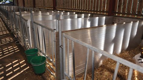 Whats In Your Livestock Shed Visits A Converted Calf Shed Farmers Weekly