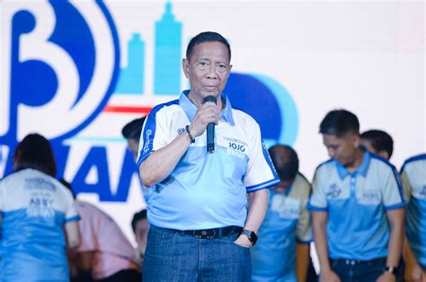 Jejomar Binay files electoral protest vs Makati congressman Peña