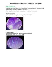 Bio Introduction To Histology Cartilage And Bones Answer Sheet Docx