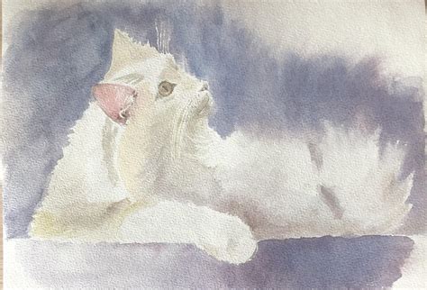 Cute white cat : r/Watercolor